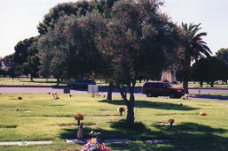 Jeannine Bailey Mikuta gravestone, Class of 1956
