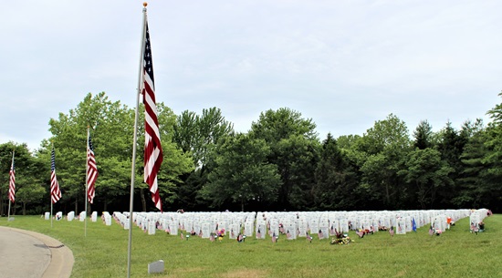 Dorothy Buczek McGinnis gravesite, Class of 1950