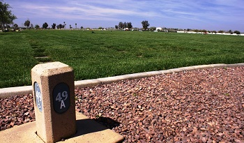 Lyall Lamb gravestone, Class of 1941